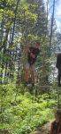 IMG-20240507-WA0000